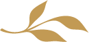 A gold leaf is shown on the side of a white background.
