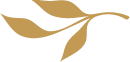 A gold leaf on black background
