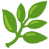 A green leaf with five leaves on it.